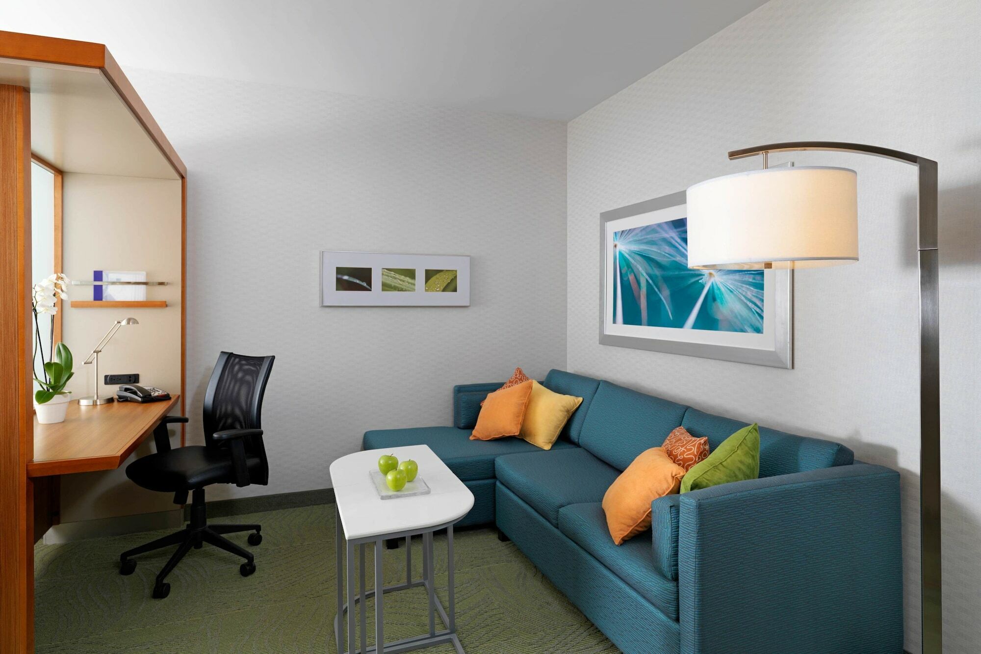 Springhill Suites By Marriott Kansas City Lenexa/City Center מראה חיצוני תמונה